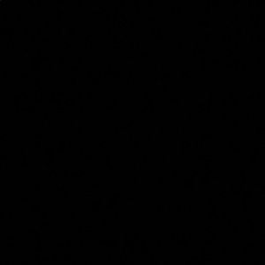 Meet your Posher, Itzel